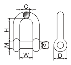 Dee Shackle Drawing